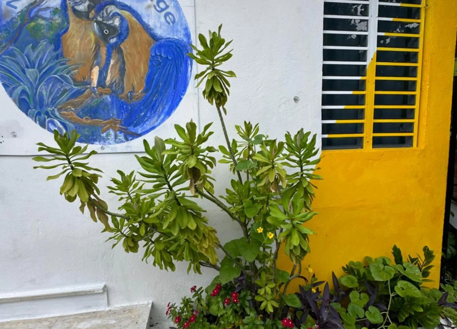 Natural Village #1,2,3 & 5 San Juan 0*,  Puerto Rico
