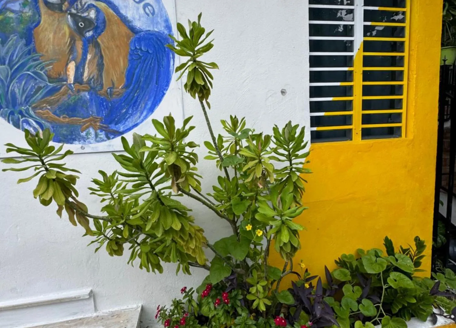 Natural Village #1,2,3 & 5 San Juan